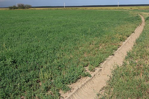 Property photo 47 - LAND AUCTION, 3255+/- Acres offered in 13 Tracts